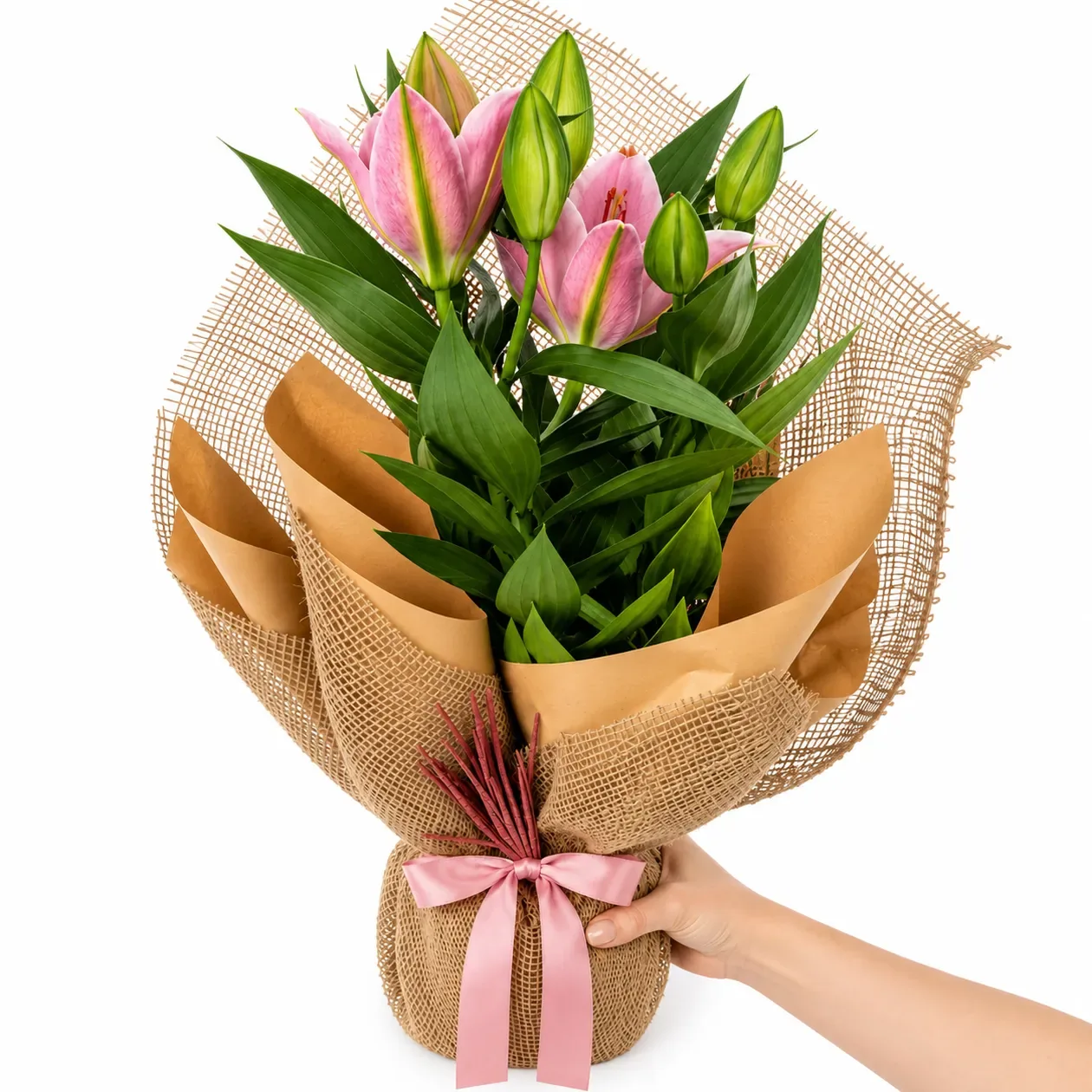 Hasır Sarılı Pembe Lilyum