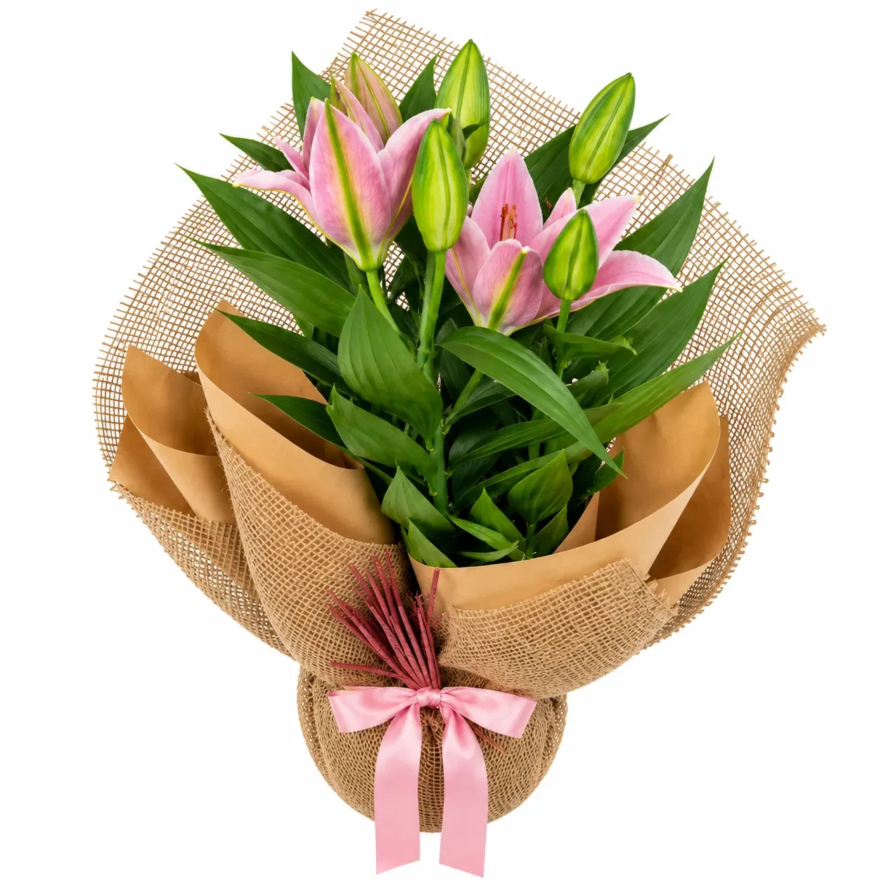 Hasır Sarılı Pembe Lilyum