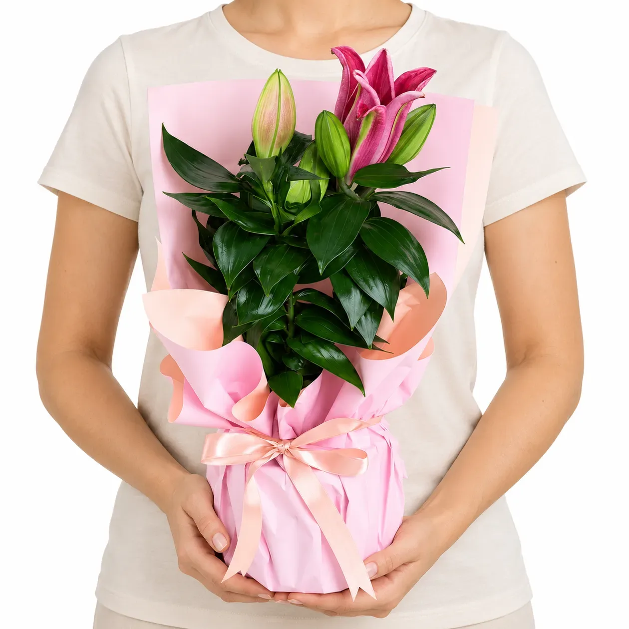 Pembe Kağıtlı Pembe Lilyum